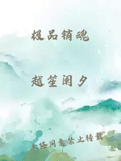 极品销魂